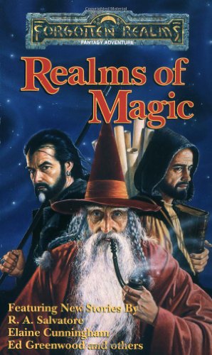 Realms of Magic novel